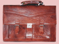  Executive Portfolio Bags (1505)